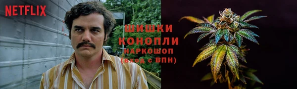 Альфа ПВП Беломорск