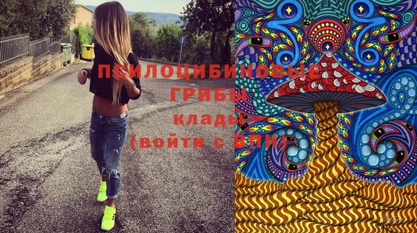 Альфа ПВП Беломорск