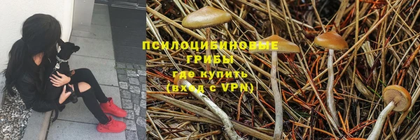 Альфа ПВП Беломорск
